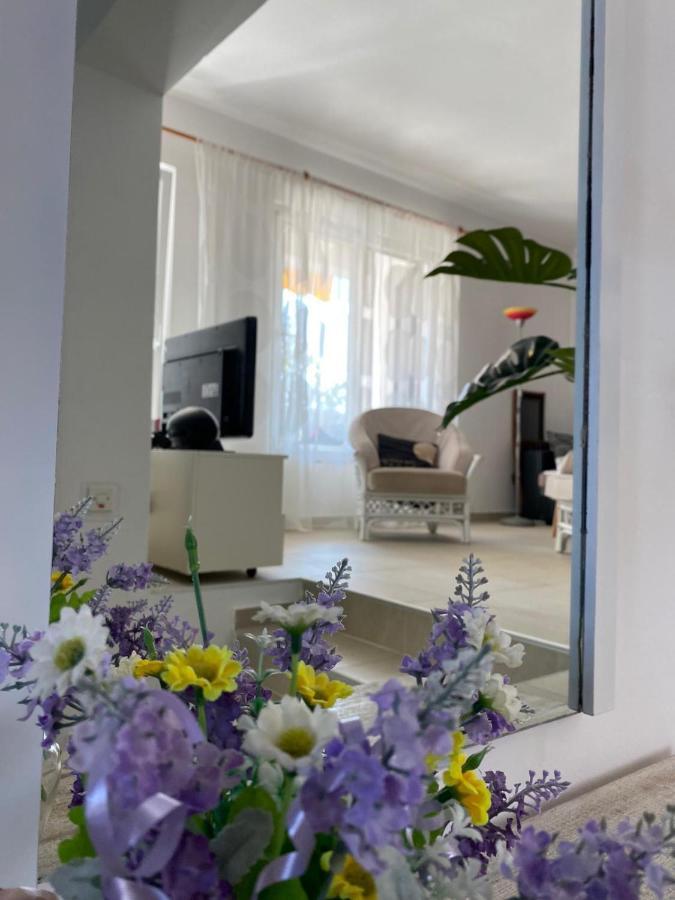 Apartment Lavanda Molat Exterior photo